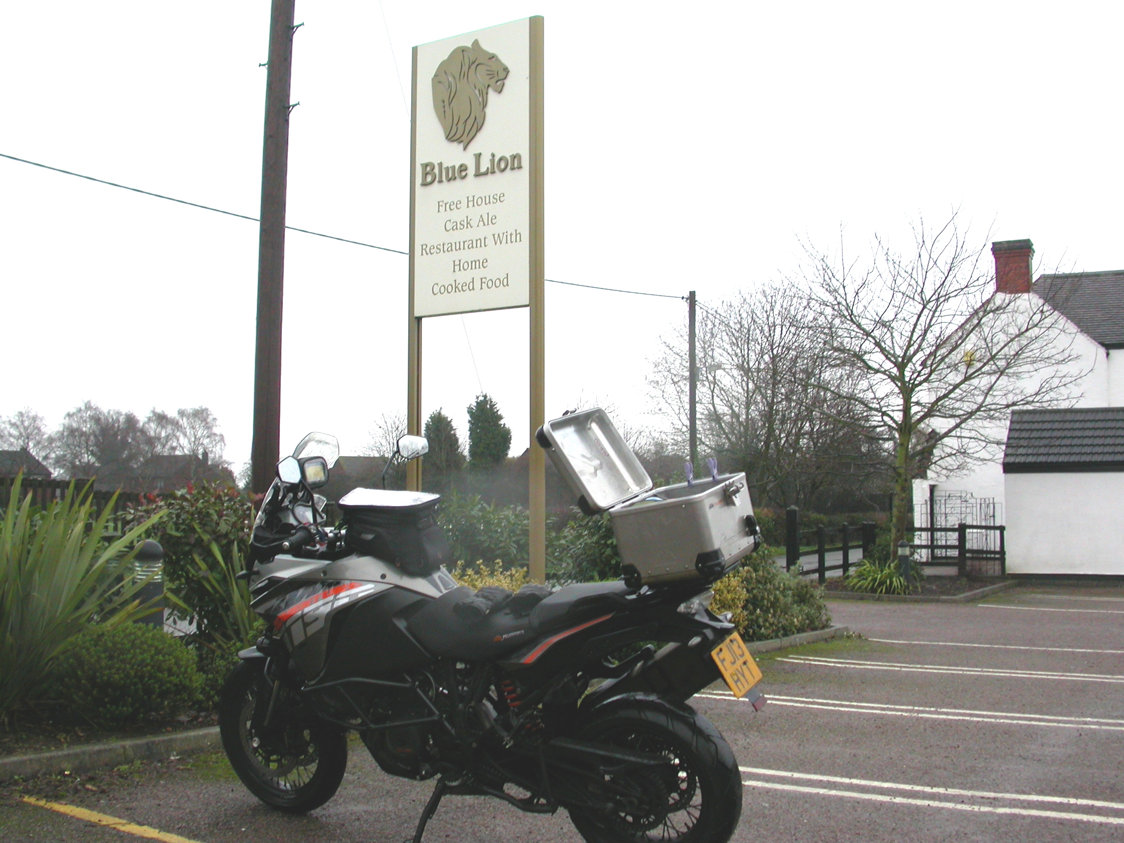 The Blue Lion The Blue Lion