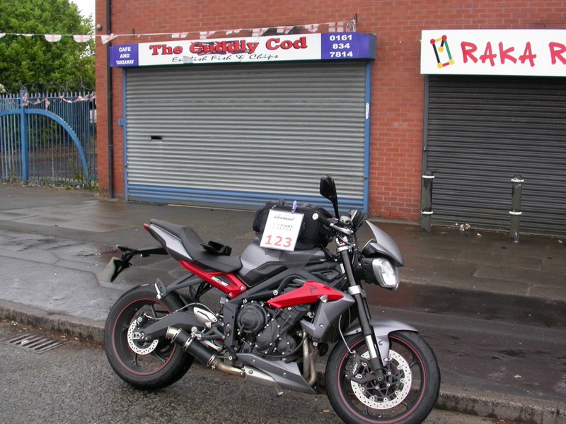 The Cuddly Cod The Cuddly Cod