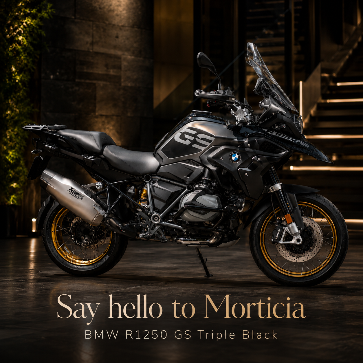 BMW R1250 GS Triple Black BMW R1250 GS Triple Black