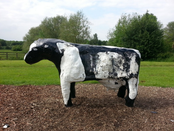 Bancroft Concrete Cows
