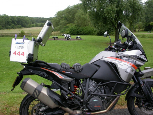 Zoom in KTM 1190 Adventure near Bancroft Cows