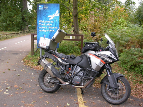 Zoom in RSPB HQ
