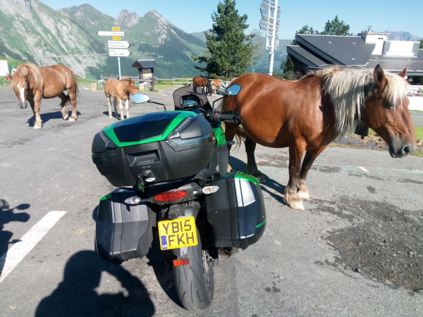 Zoom in Kawasaki Versys 1000