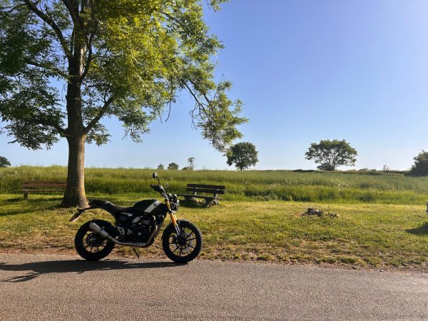 Triumph Scrambler 400 X