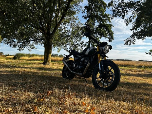 Triumph Scrambler 400 X