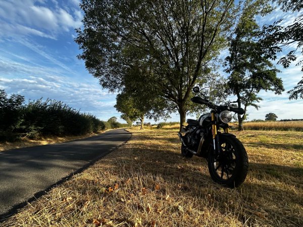Triumph Scrambler 400 X